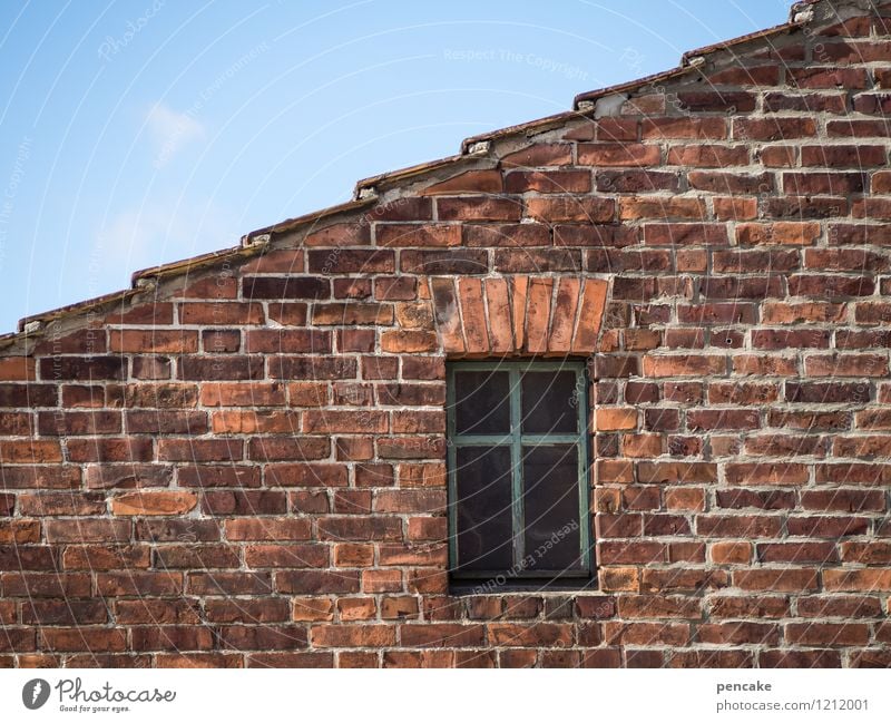 Spreedorado stinking rich. Old town Wall (barrier) Wall (building) Window Stone Sign Good Strong Warmth Brick facade Blue sky Summer Colour photo Exterior shot