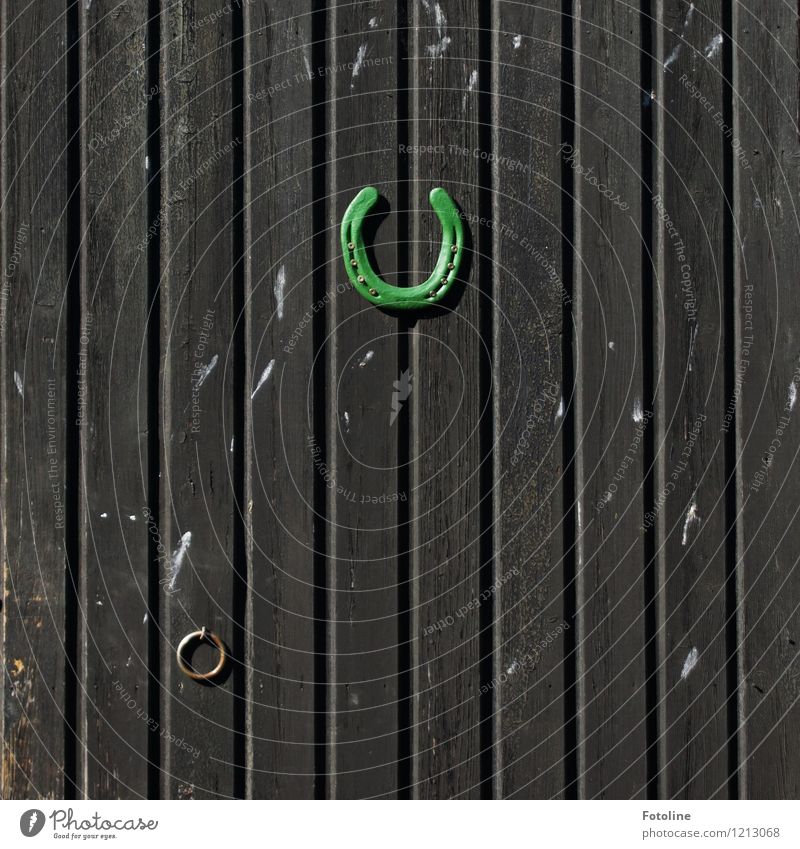 Good luck!!! Wood Sign Bright Gray Green Horseshoe Car door Gate Colour photo Multicoloured Exterior shot Detail Deserted Day Light Sunlight