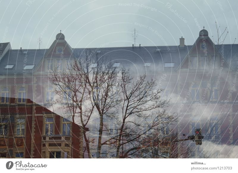 fog hole Clouds Fog Tree House (Residential Structure) Manmade structures Building Architecture Old building Facade Traffic light Whimsical Surrealism