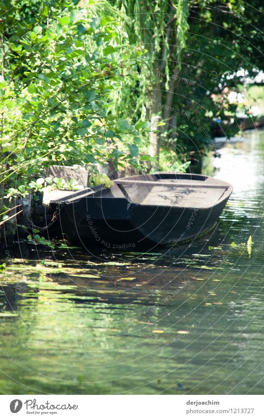 Spreewald gherkin boat. An old oar wooden boat is moored on the river bank. Trees and bushes in the background. Spreewald idyll.Brandenburg. Joy Harmonious Trip