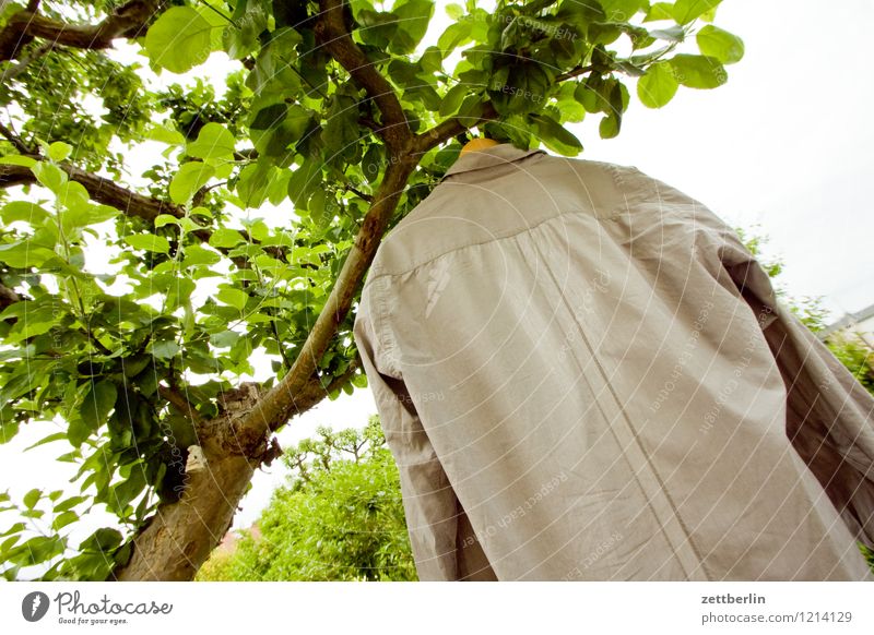 shirt Garden Garden plot Nature Summer Sun Laundry Cleaning Wash Washing Dry Clothesline Hanger Ventilate Shirt Tree Tree trunk Branch Twig Leaf Apple tree