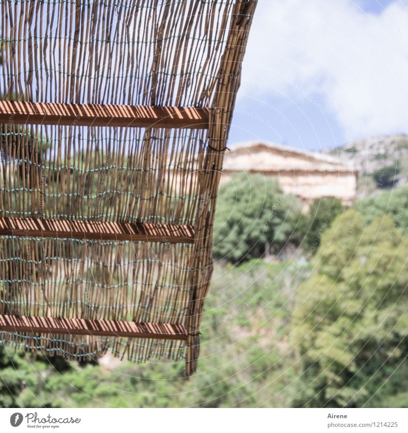 semi-hidden Landscape Beautiful weather Sicily Segesta Ruin Temple Temple ruins Old Simple Hot Natural Blue Brown Green Senior citizen Protection Time Canopy