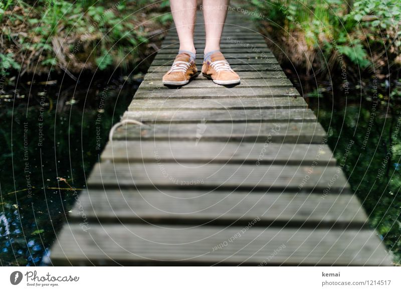 Spreedorado, stand on bridges. Human being Masculine Life Legs Lower leg 1 Environment Nature Footwear Wood Stand Bridge Wooden bridge Colour photo