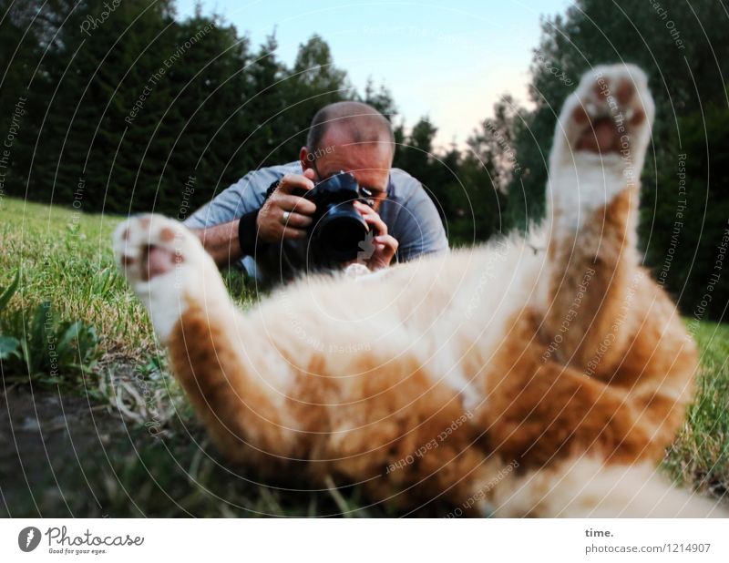 In the spotlight, model shooting. Masculine 1 Human being Photography Take a photo Photographer Meadow Forest Pet Cat Observe Lie Looking Euphoria Cool (slang)