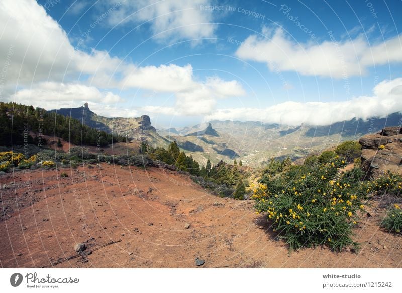 The wanderlust! Environment Nature Landscape Plant Earth Sand Sky Cloudless sky Clouds Summer Climate Weather Beautiful weather Tree Bushes Hill Rock Alps