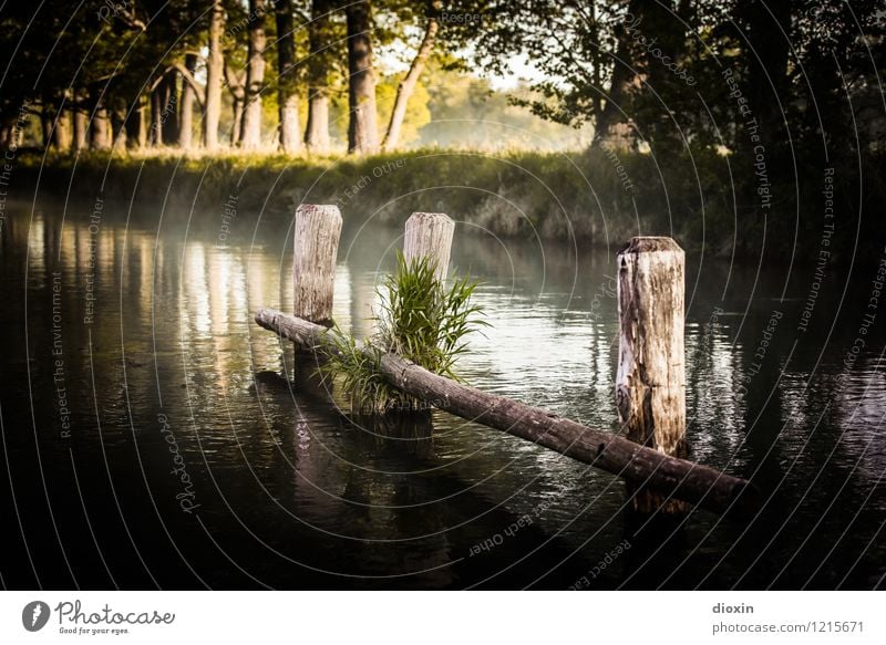 Spreedorado | Spreewald Sunrise [4] Vacation & Travel Tourism Trip Environment Nature Landscape Plant Water Sunlight Meadow Forest River Channel