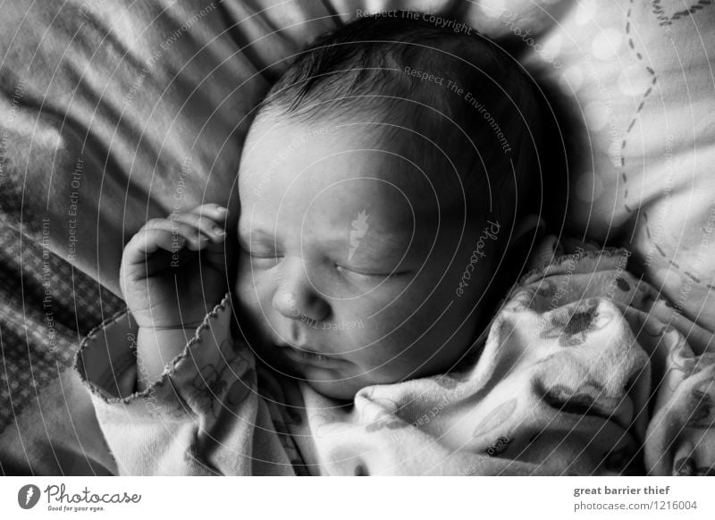 Sleeping baby Feminine Baby Head 1 Human being 0 - 12 months Thin Happy pretty Small Positive Gray Black White Exhaustion Birth Dream Black & white photo