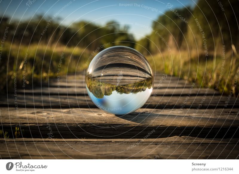 Worlds #7 Nature Landscape Plant Sky Cloudless sky Sunlight Spring Summer Beautiful weather Meadow Eifel High venn Bog Glass ball Crystal ball Footbridge Round