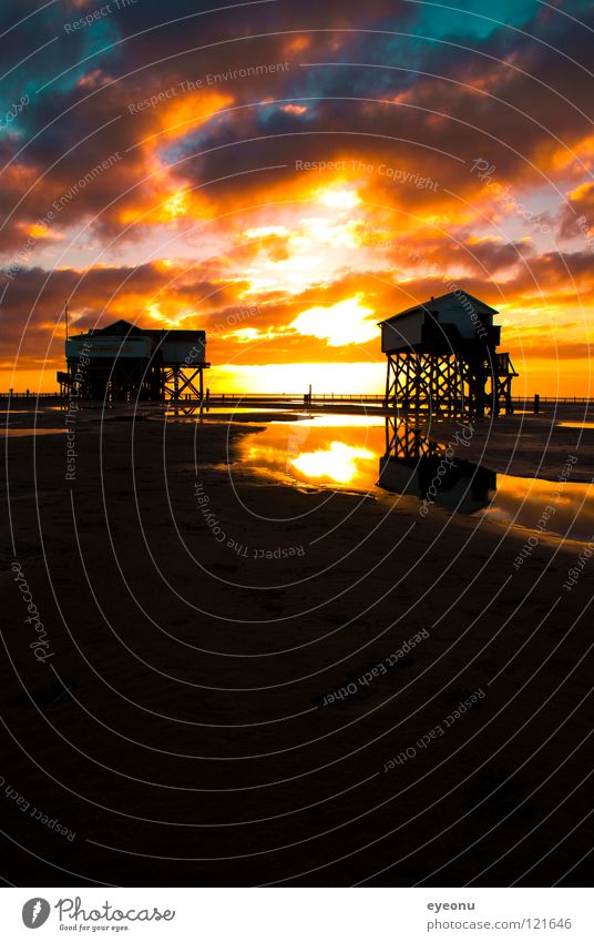 beach toilet Beach Sunset North Frisland Ocean Pile-dwelling Reflection Coast Water Kitsch St. Peter North Sea Toilet West Coast