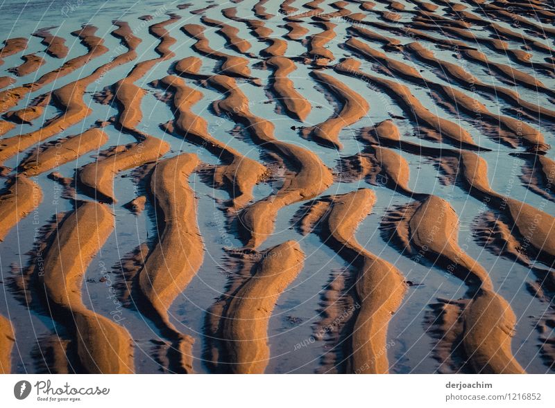 Tides. The run-off sea water on Queensland beach. Big ruts. East coast. Australia. Joy Harmonious Summer Nature Sand Water Beautiful weather Ocean Pacific Ocean