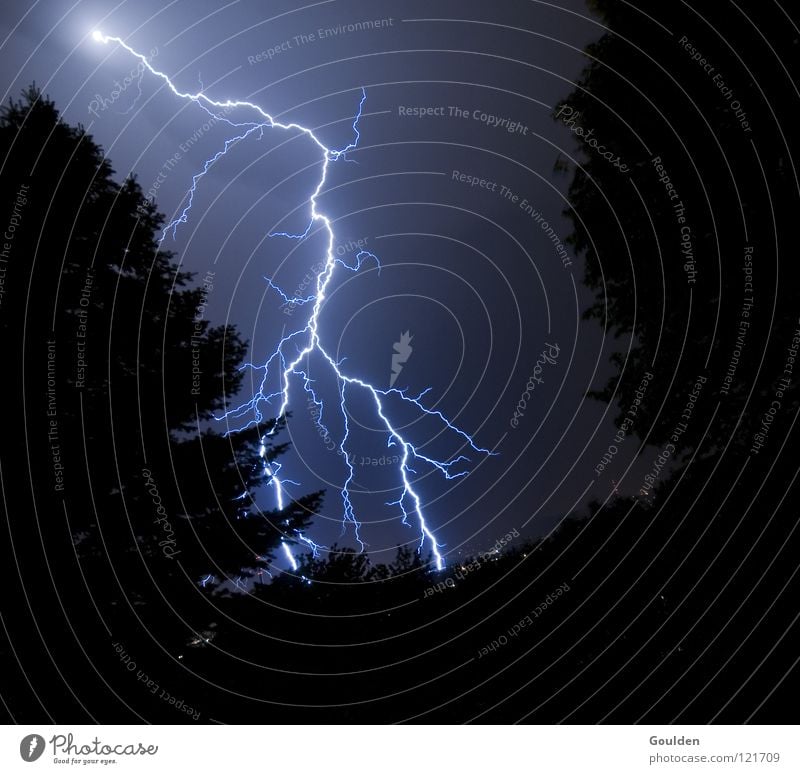 insurance loss Lightning Dangerous Electricity Short Gale Destruction Night Thunder Tree Physics Biology Unload Plus Positive Negative Lightning bolt Dentist