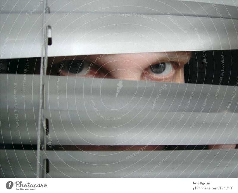 eye contact Venetian blinds Woman Eyes Looking blue eyes Disk Silver Bright Hide