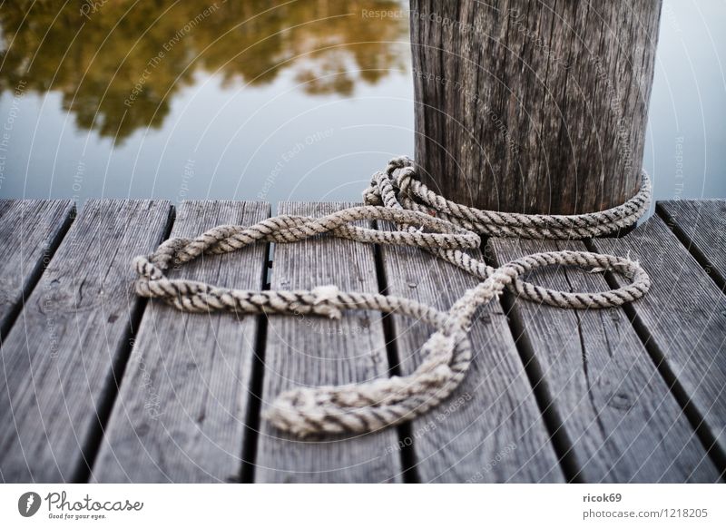 jetty Coast Lakeside Navigation Boating trip Harbour Wood Maritime Jetty Rope Colour photo Subdued colour Exterior shot Deserted Evening