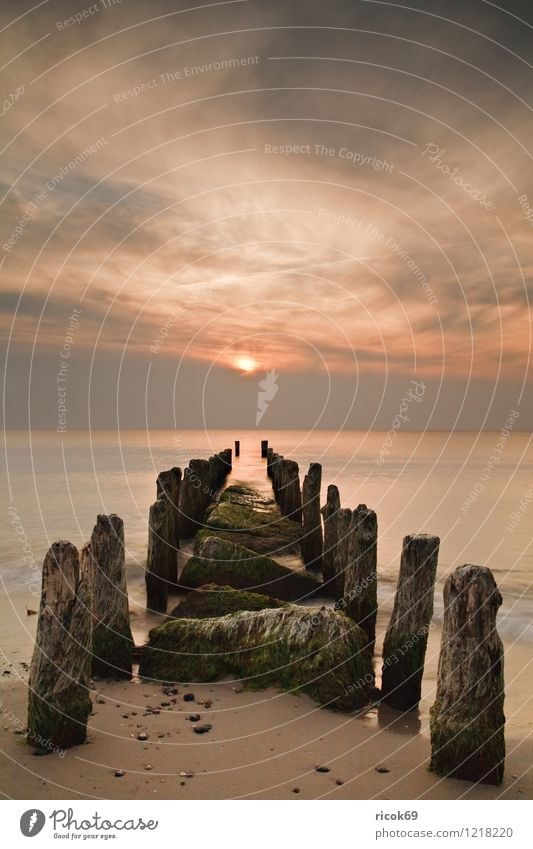 Stage at the west beach Vacation & Travel Beach Ocean Nature Landscape Water Clouds Beautiful weather Coast Baltic Sea Romance Idyll Break water Sunset