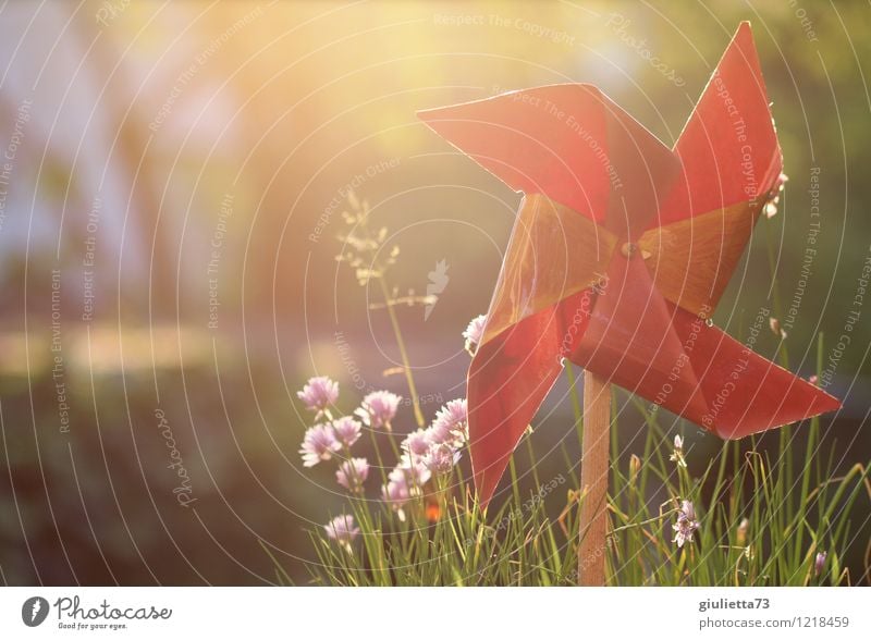 Windmill in the evening light ll Lifestyle Harmonious Well-being Meditation Leisure and hobbies Playing Flat (apartment) Garden Movement Rotate Happy Hope