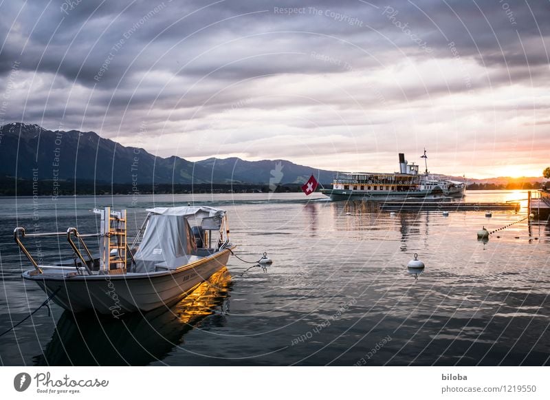 At the lake Water Lakeside Lake Thun Navigation Inland navigation Steamer Moody Happy Wanderlust Sunset Dusk Colour photo Exterior shot Evening Twilight Light