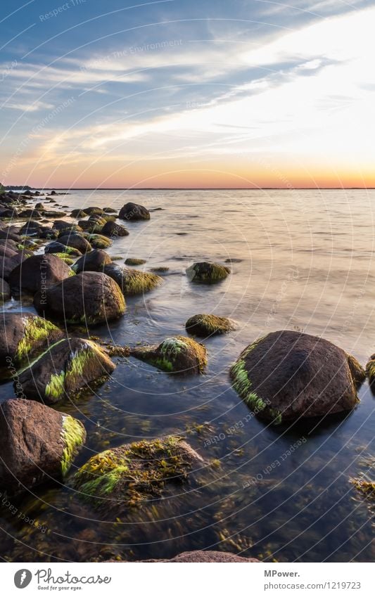 still waters... Environment Nature Sky Clouds Sunrise Sunset Sunlight Summer Weather Beautiful weather Waves Coast Lakeside Beach Baltic Sea Ocean Bog Marsh