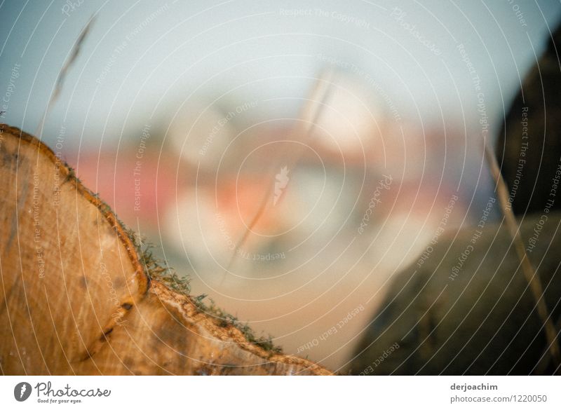 Transparent is the background. In front you can see a tree trunk. Exotic Contentment Trip Exterior shot Environment Nature Field Franconia Germany Deserted