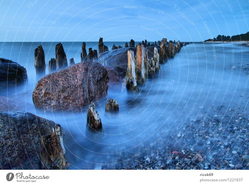 groyne Vacation & Travel Beach Ocean Nature Landscape Water Clouds Coast Baltic Sea Stone Old Blue Romance Idyll Target Break water Sunset