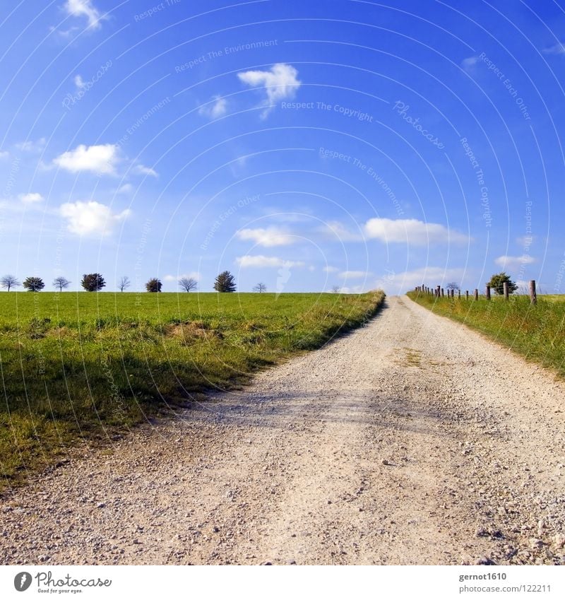 The way Tree Light Air Clouds Infinity Horizon Green White Fence Meadow Ecological Relaxation Hiking Autumn Beautiful Sky Freedom Far-off places Blue