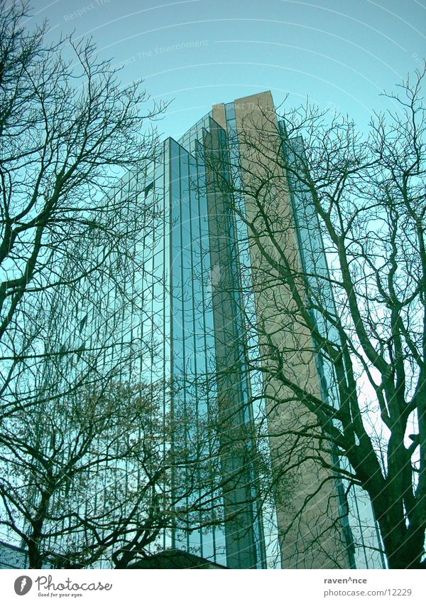 up_in_the_sky Concrete Tree Mirror Maritime Ulm Architecture Glass Sky