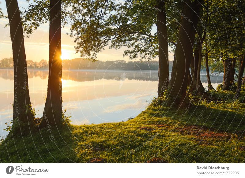 The world in order Vacation & Travel Far-off places Freedom Summer vacation Nature Landscape Water Sky Clouds Spring Autumn Beautiful weather Fog Plant Tree