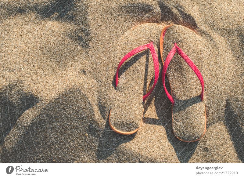 Pink sandals on the beach in the sand Relaxation Leisure and hobbies Vacation & Travel Tourism Summer Sun Beach Ocean Nature Sand Fashion Footwear Flip-flops