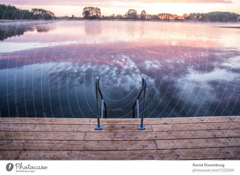 Steps to heaven Vacation & Travel Summer vacation Landscape Sky Clouds Horizon Spring Autumn Beautiful weather Coast Lakeside River bank Blue Yellow Violet Pink