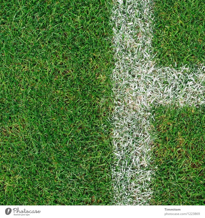 Beyond the lines. Sports Football pitch Grass Signs and labeling Line Esthetic Clean Green White Considerable Lawn Colour photo Exterior shot Deserted Day