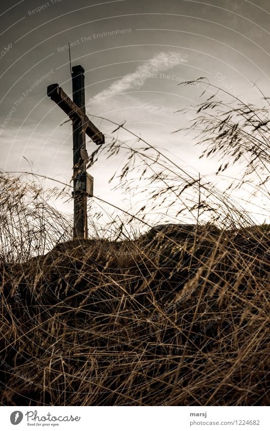 at your destination? Religion and faith Nature Autumn Grass Mountain Peak Crucifix Peak cross Dark Sadness Concern Grief Death Respect Grateful Liberation