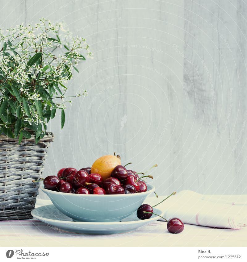 Cherry and medlar Fruit Organic produce Vegetarian diet Plate Bowl Summer Pot plant Healthy Bright Delicious Sweet Basket Napkin Colour photo Exterior shot