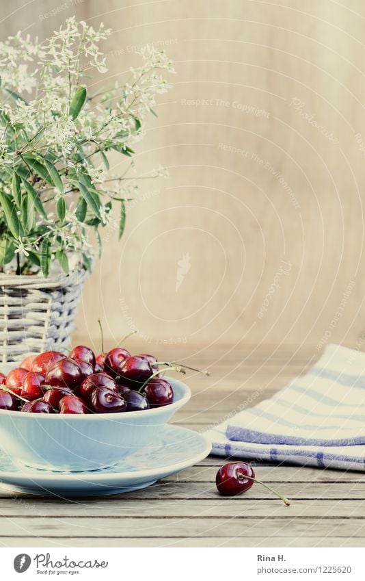 Cherries without medlar Fruit Organic produce Vegetarian diet Plate Bowl Summer Pot plant Blossoming Healthy Bright Delicious Sweet Wooden table Towel Napkin