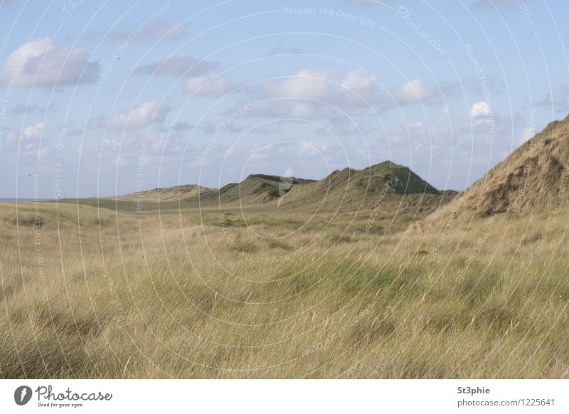 infinitely Relaxation Calm Beach Ocean Island Nature Landscape Plant Sand Sky Clouds Sunlight Summer Beautiful weather Grass Foliage plant Meadow Hill Coast