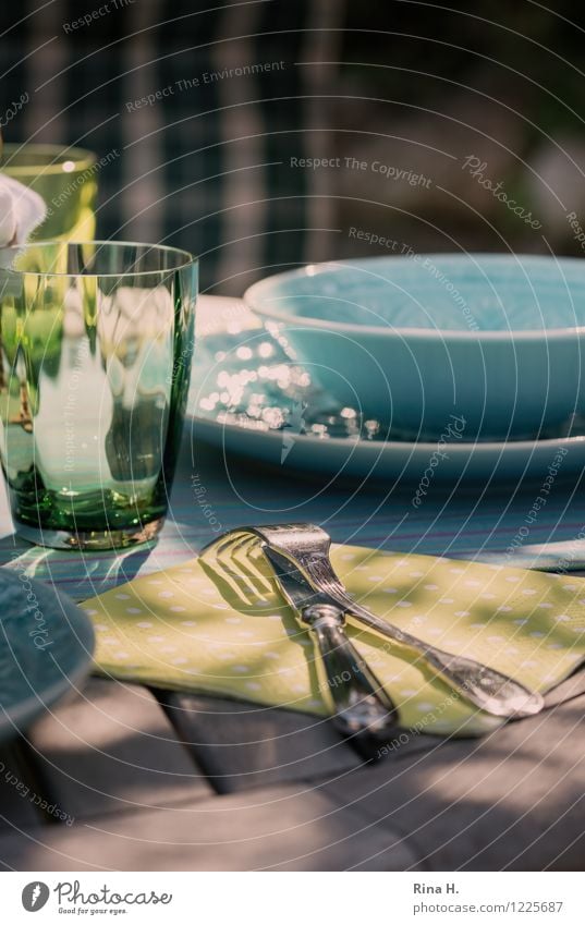 Covered Crockery Plate Bowl Glass Knives Fork Summer Beautiful weather Garden Authentic To enjoy Wooden table Exterior shot Colour photo Copy Space top