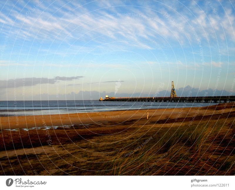 end of season End of the season Autumn Autumnal landscape Coast Multicoloured Seasons Beach Ocean Clouds Transience October November Bad weather North Sea