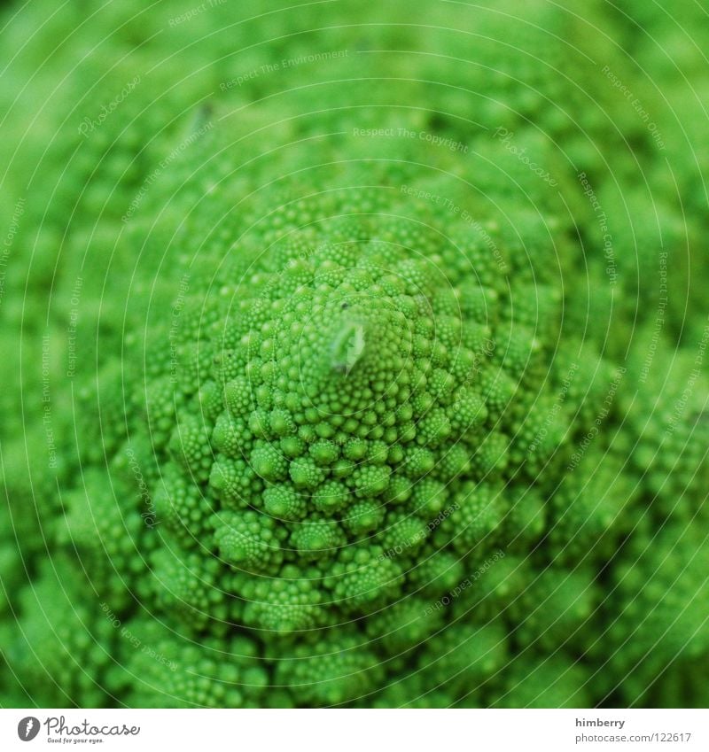 romanescocase Nutrition Cabbage Food Vegetarian diet Vitamin Plant Healthy Green Macro (Extreme close-up) Close-up Vegetable Romanesco asparagus cabbage