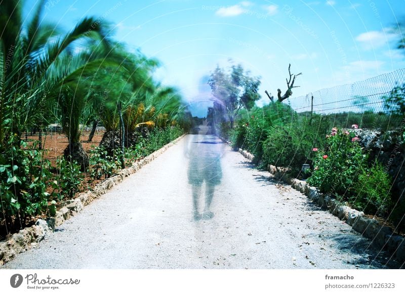 ghost Adventure Far-off places Human being Masculine Man Adults 1 30 - 45 years Environment Nature Landscape Sand Sky Summer Beautiful weather Palm tree Garden