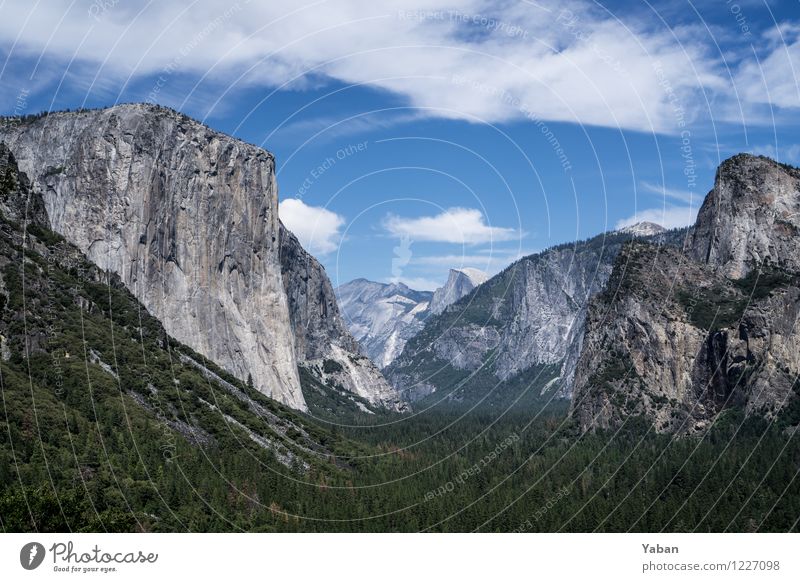 Yosemite Tunnel View Vacation & Travel Trip Far-off places Sightseeing Summer Mountain Climbing Mountaineering Landscape Beautiful weather Forest Hill Rock Peak