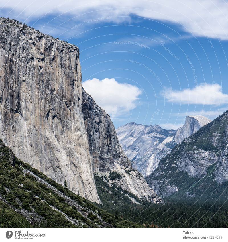 Yosemite Tunnel Zoom Vacation & Travel Sightseeing Camping Summer Mountain Hiking Landscape Drought Forest Hill Rock Glacier Canyon Large Tall Blue Gray Green