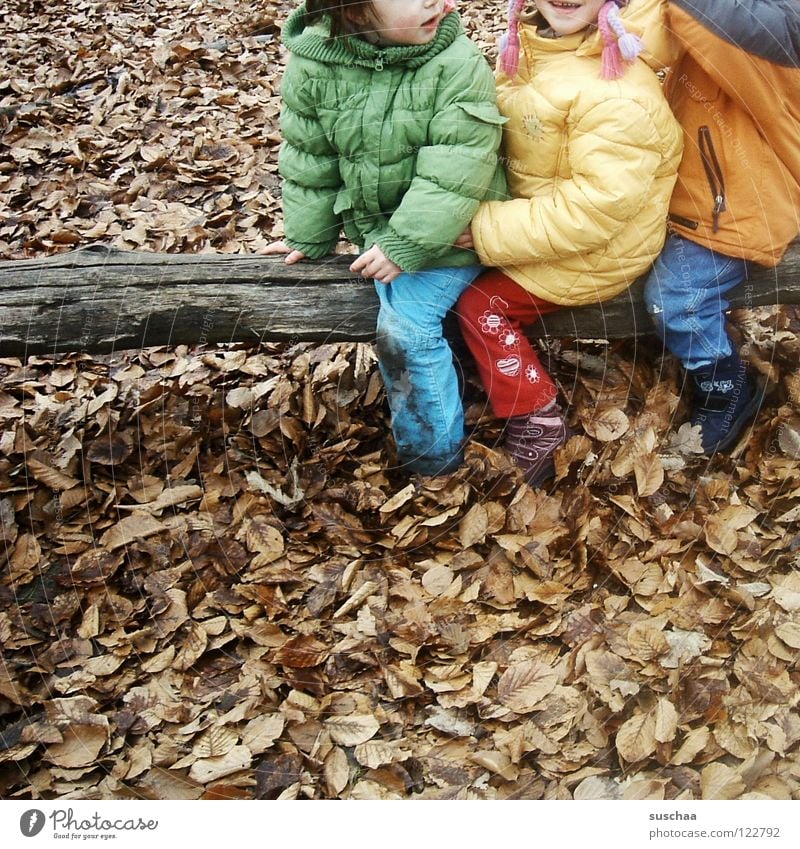 yesterday at the playground ... SECOND Child Nursery school child Pants Jacket Cold Autumn Winter Playing Romp Freeze Leaf Tree trunk Brown Multicoloured Joy