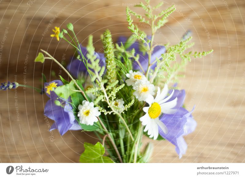 Bouquet of garden flowers on wood Flower stalk Edible Vegetarian diet Lifestyle Style Leisure and hobbies Mother's Day Profession Gardener Market garden Economy