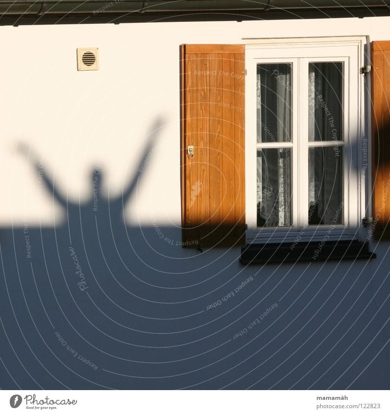 shadow man Man Adults Arm Hand Beautiful weather Window Large Shutter Wall (building) Hands up! Hello Wave hallelujah Shadow Upper body Sunlight Lattice window