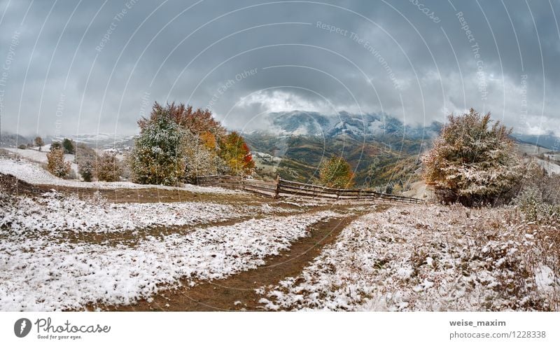 October snow Environment Nature Landscape Plant Air Drops of water Sky Clouds Storm clouds Autumn Climate Wind Gale Ice Frost Snow Snowfall Tree Grass Bushes