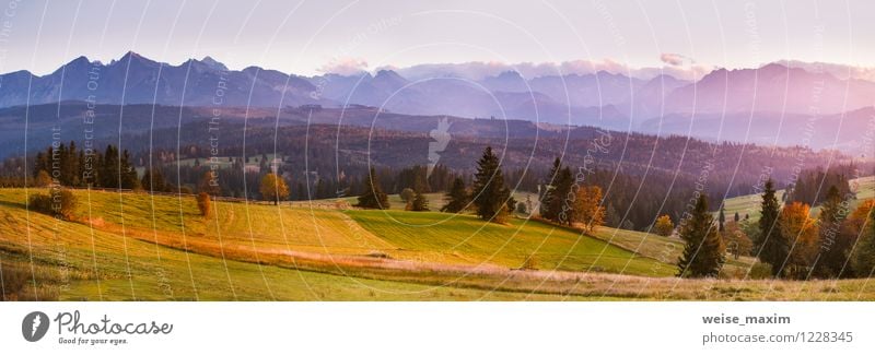 October in Tatras Environment Nature Landscape Plant Elements Air Sky Cloudless sky Sunlight Autumn Beautiful weather Fog Tree Grass Bushes Agricultural crop