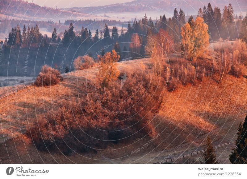 november morning in carpathian Nature Landscape Sand Air Water Sky Clouds Sunlight Autumn Weather Fog Tree Grass Bushes Leaf Meadow Field Forest Hill Rock