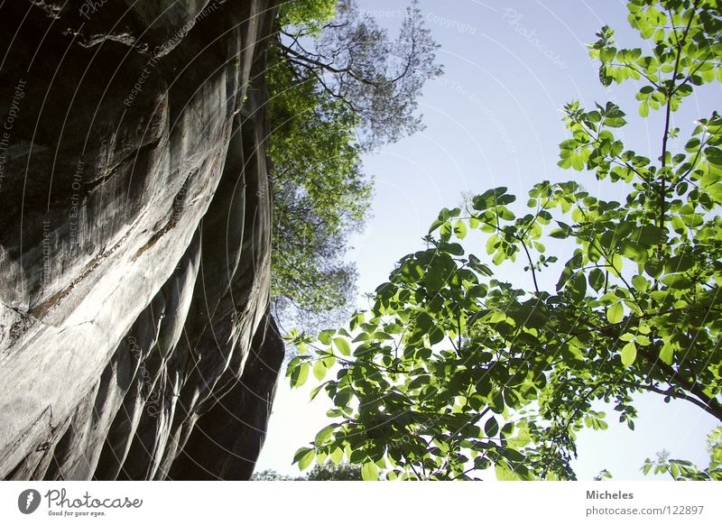 up Leaf Tree Green Spring Sky Rock Blue Stone Bright Reflection