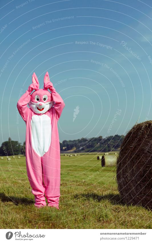 Did you... Art Work of art Esthetic Easter Hare & Rabbit & Bunny Hare ears Hare hunting Rabbit's foot Escape Fix Ready Pink Costume Carnival costume Meadow