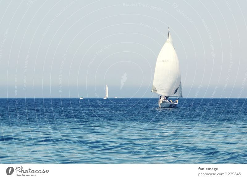 sails Sailing Driving Sailboat Marseille mistral Wind Mediterranean sea Southern France Swell Waves Blue sky Travel photography Sailing ship Sports Aquatics