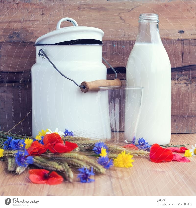 For milk bubis + -girls Breakfast Milk Glass Flower Wood Fresh Healthy Brown Multicoloured White Frosted glass Milk churn Milk bottle Jug Rustic Old fashioned