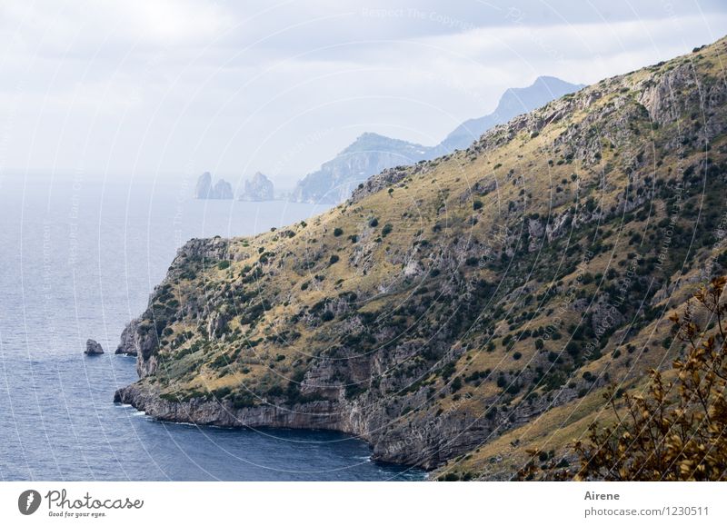 country in view Nature Landscape Sky Bushes macchia Rock Coast Island Capri Nature reserve Italy Hot Bright Maritime Natural Blue Brown Endurance Loneliness